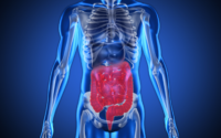 The importance of gut health and the link between gut health and overall health