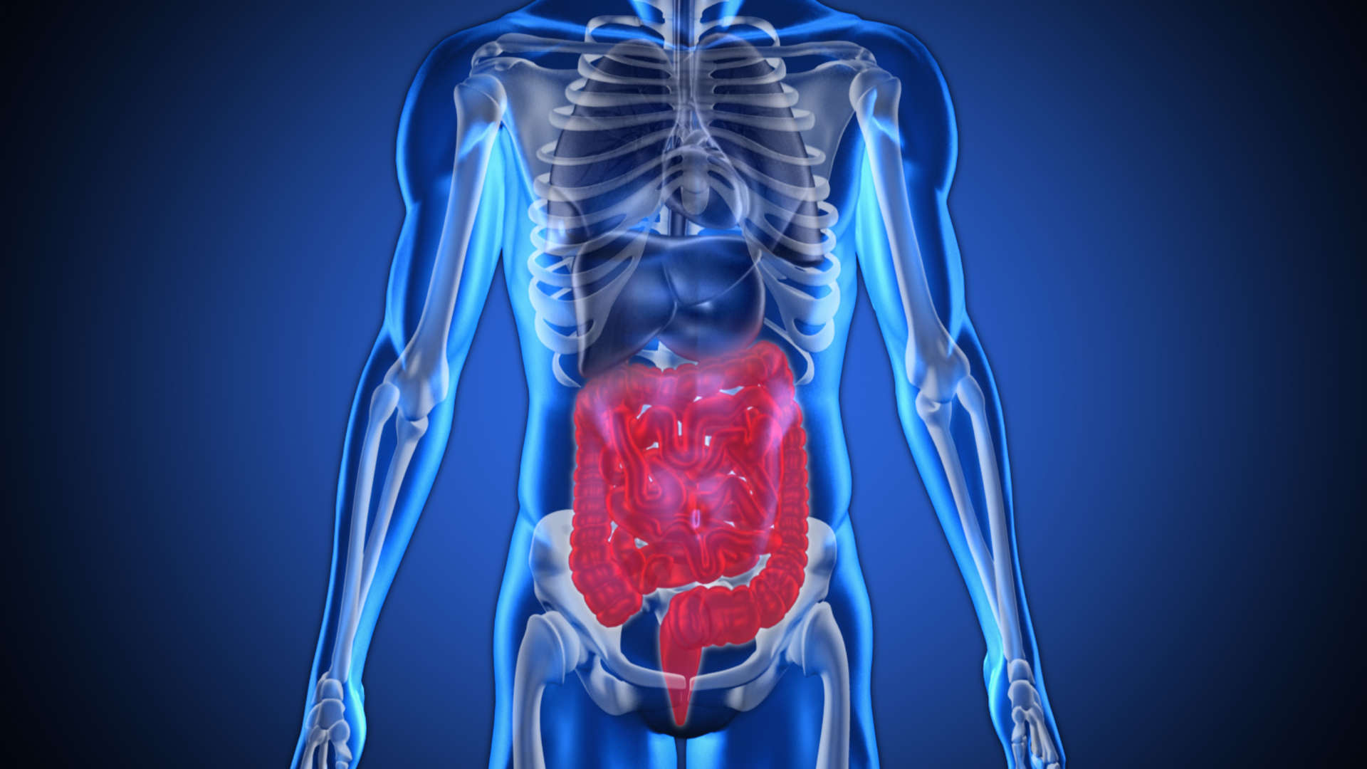 The importance of gut health and the link between gut health and overall health
