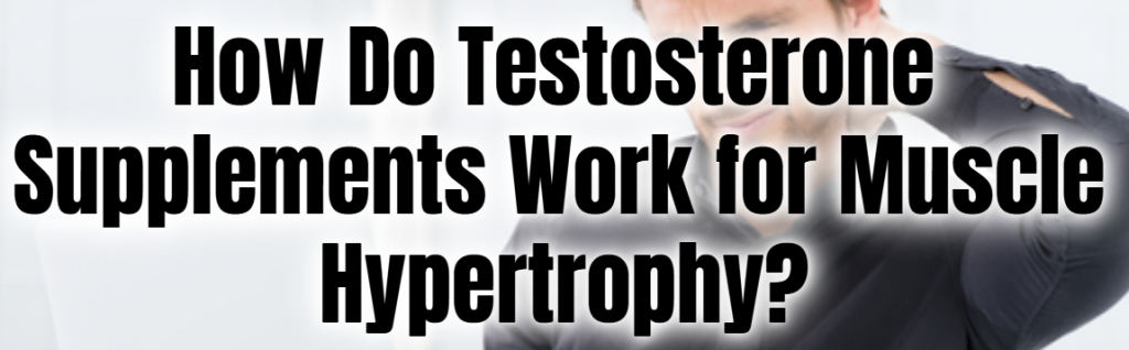 How Do Testosterone Supplements Work for Muscle Hypertrophy?