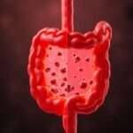Microscopic comparison of the Gut Barrier (tight junctions) and the Skin Barrier (stratum corneum) connected by the Gut-Skin Axis.