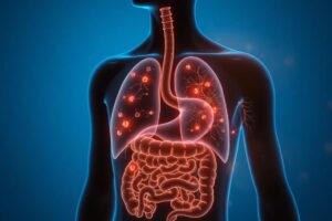 Medical illustration showing the gut-lung connection with digestive system and respiratory system linked through immune pathways