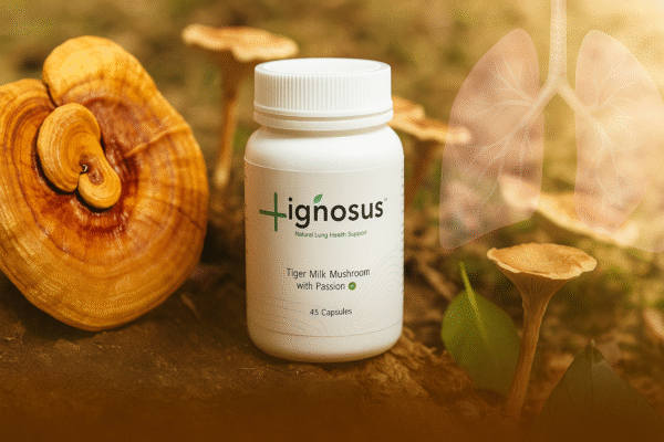 Lignosus Tiger Milk Mushroom Supplement Review 2025 - Bottle and natural ingredients for lung health