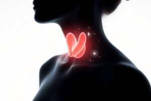 Anatomical illustration of a glowing thyroid gland inside a woman’s neck, representing the thyroid’s role in hormone and energy balance.