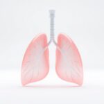 lung recovery process after quitting smoking