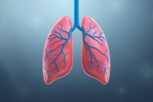 The Lymphatic System: Your Lungs’ Secret Drainage System Medical diagram showing lymphatic vessels surrounding human lungs and respiratory system
