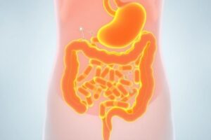 Illustration showing gut healing after antibiotics with restored microbiome.