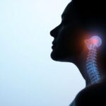 Illustration of thyroid and adrenal connection in women, representing stress and hormone balance.