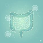 Illustration showing reduced gut inflammation leading to healthier body and skin.
