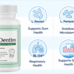 ProDentim ingredient infographic showing probiotic strains L. Reuteri, L. Paracasei, and BL-04.