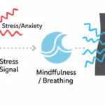 Conceptual diagram showing how stress signals from the brain can trigger overactive bladder symptoms in the pelvis, and how calming techniques can intercept this connection.