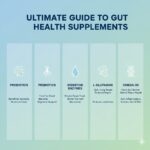 Infographic displaying different types of gut health supplements with icons representing digestion, microbiome balance, and gut repair.
