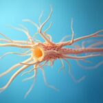 How nerve supplements support nerve repair and signaling