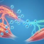 Magnesium for nerve pain and muscle twitching relief