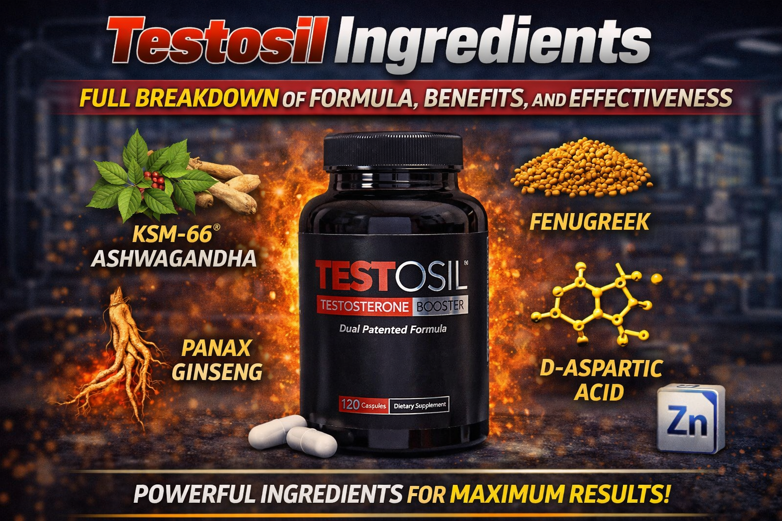 testosil ingredients infographic